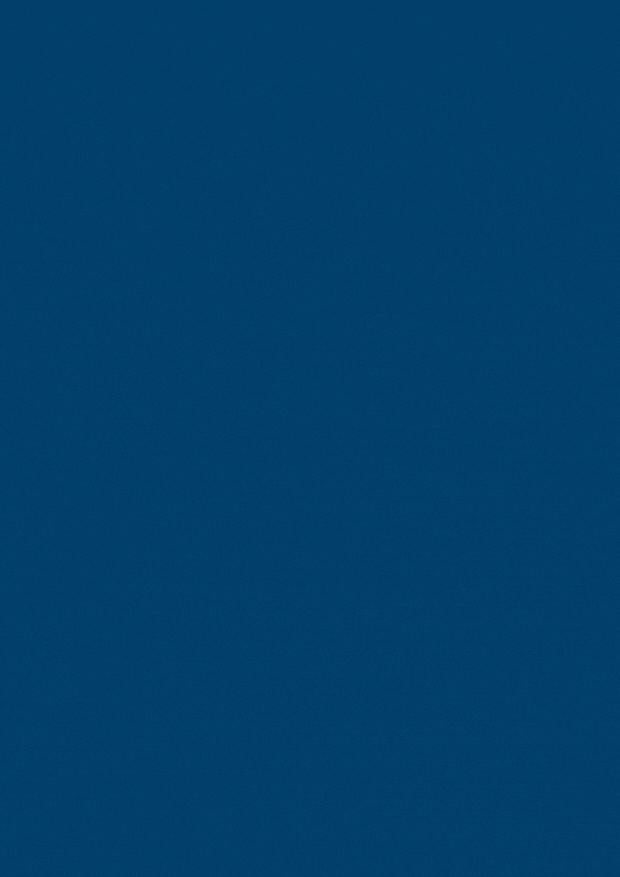 cover-bosaafp