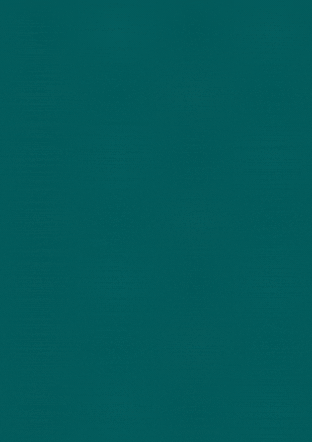 cover-bogapsi
